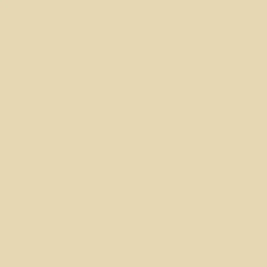 .019 in x 1-1/2 in x 10 ft T-Style Pre-Notched Aluminum Drip Edge – Quality Edge, Cream (817)