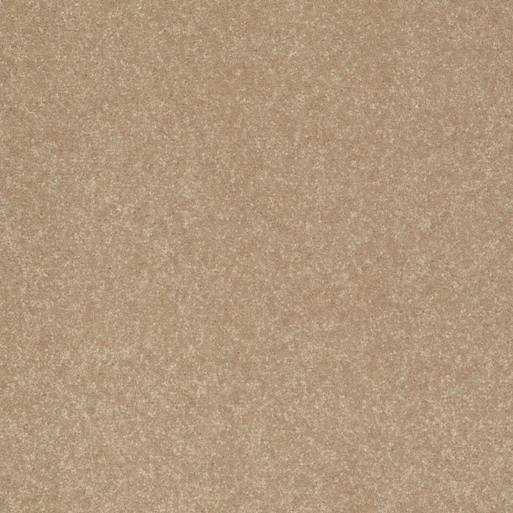 STAINMASTER Essentials Intuition III 12-ft Golden Lab Textured Carpet Sample (Interior)