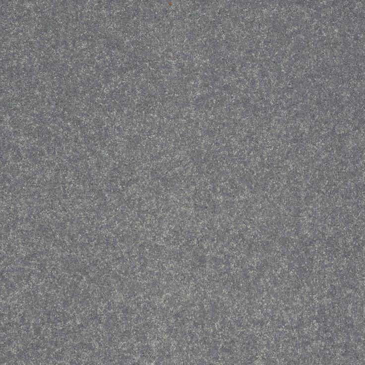 STAINMASTER Essentials Intuition III 12-ft Silver Dollar Textured Carpet Sample (Interior)