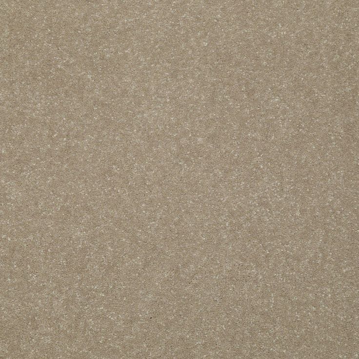 STAINMASTER Essentials Intuition III 12-ft Wheat Bread Textured Carpet Sample (Interior)