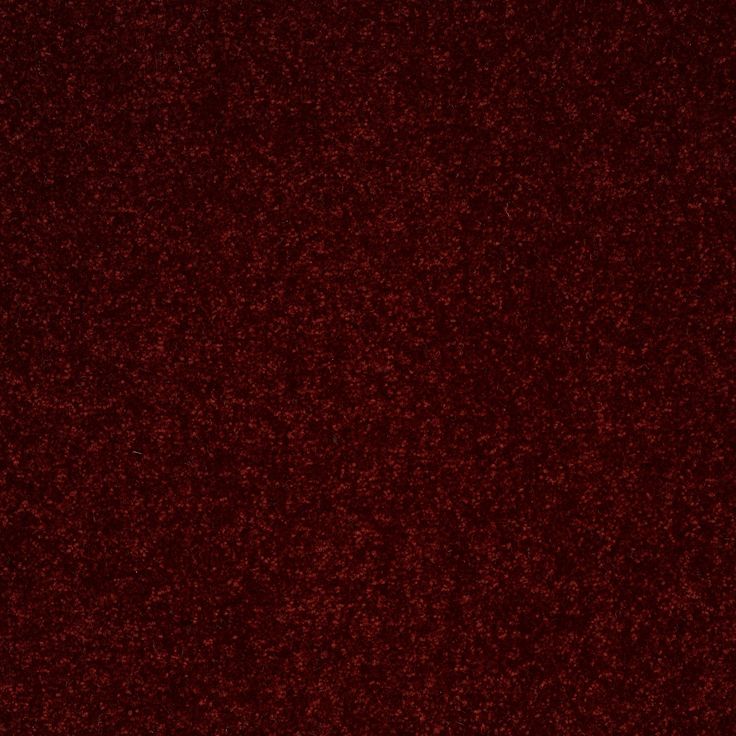 STAINMASTER Essentials Intuition III 12-ft Apache Red Textured Carpet Sample (Interior)