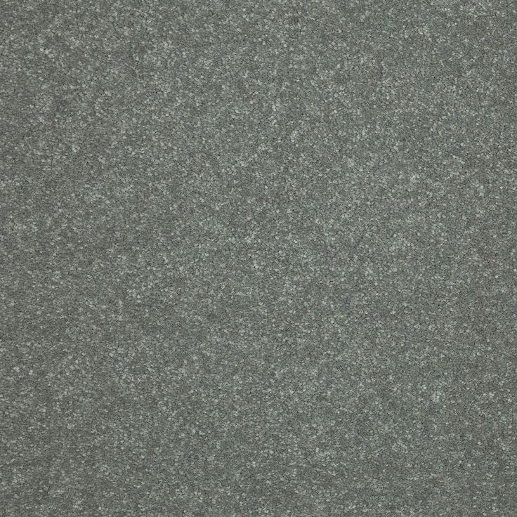 STAINMASTER Essentials Intuition III 12-ft Thunder Cloud Textured Carpet Sample (Interior)
