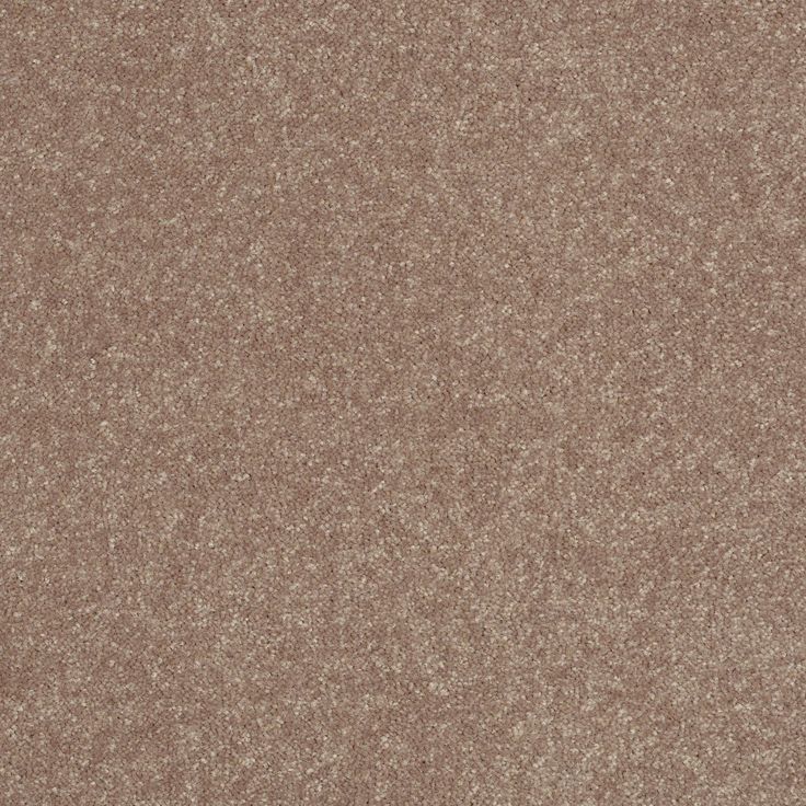 STAINMASTER Essentials Intuition III 12-ft Outer Banks Textured Carpet Sample (Interior)