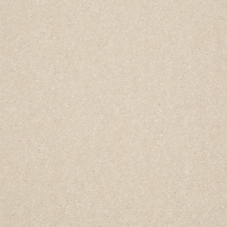 STAINMASTER Essentials Intuition I 12-ft Feather Down Textured Carpet Sample (Interior)