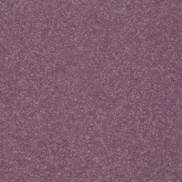 STAINMASTER Essentials Intuition II 12-ft Lavender Textured Carpet Sample (Interior)