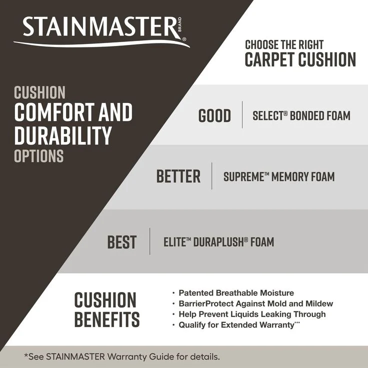 STAINMASTER Essentials So in Love Coastal Morning Pattern Carpet (Indoor) - Image 2