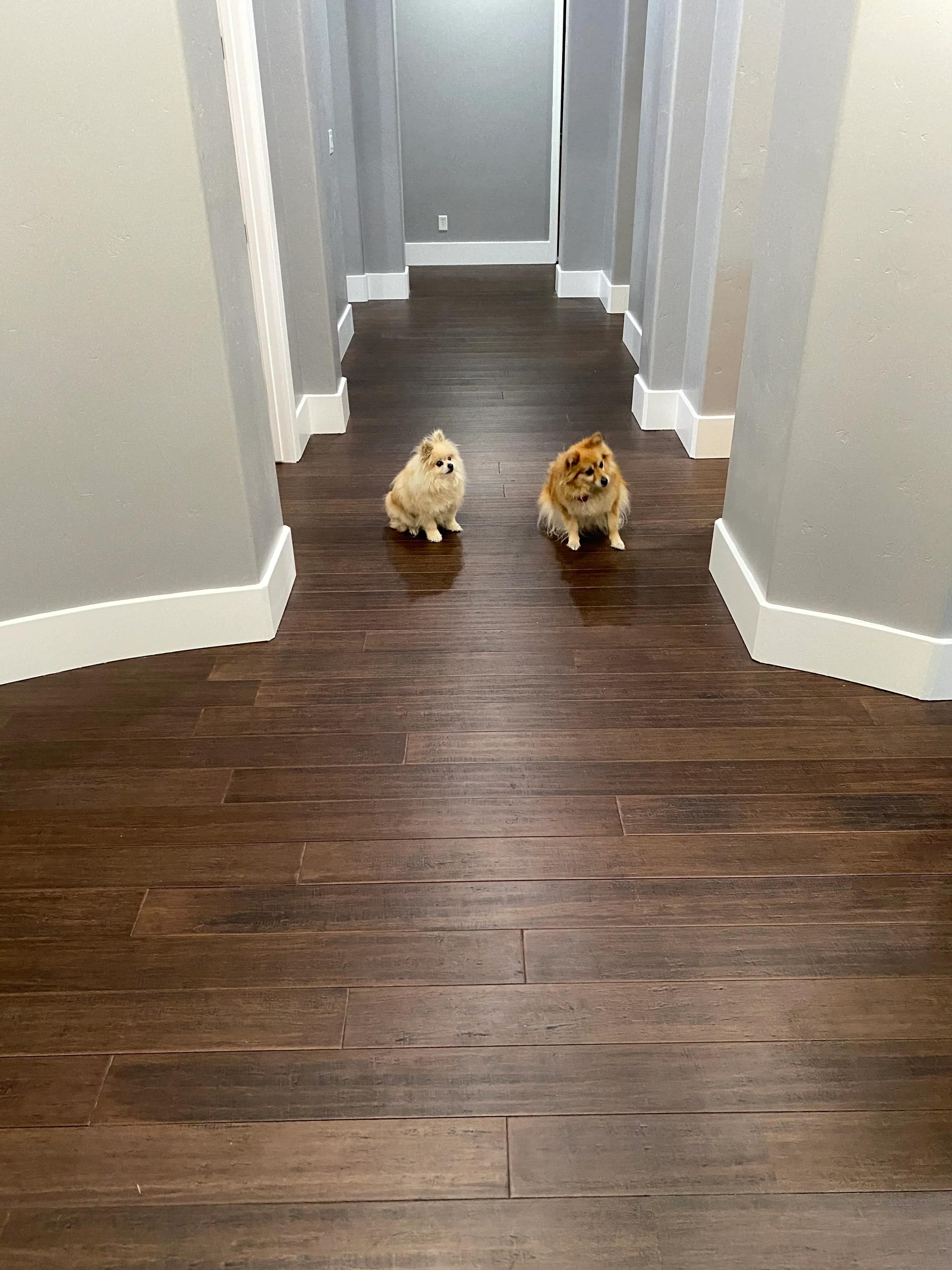 Cali Bamboo Fossilized 5.31-in Vintage Port Handscraped Engineered Bamboo Hardwood Flooring, 21.5-sq ft/Carton - Image 7
