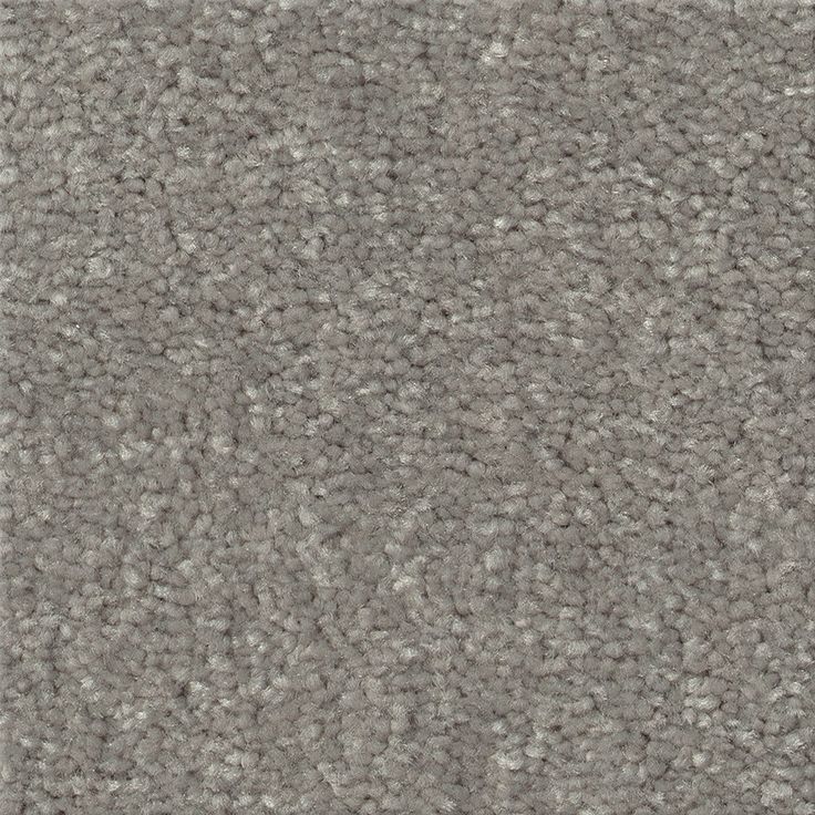 STAINMASTER Essentials Blue Diamonds I 12-ft Taupe Stone Textured Carpet Sample (Interior)