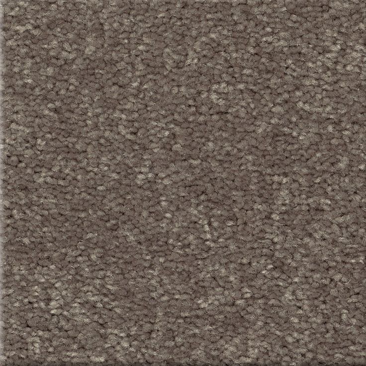 STAINMASTER Essentials Blue Diamonds I 12-ft Pewter Textured Carpet Sample (Interior)