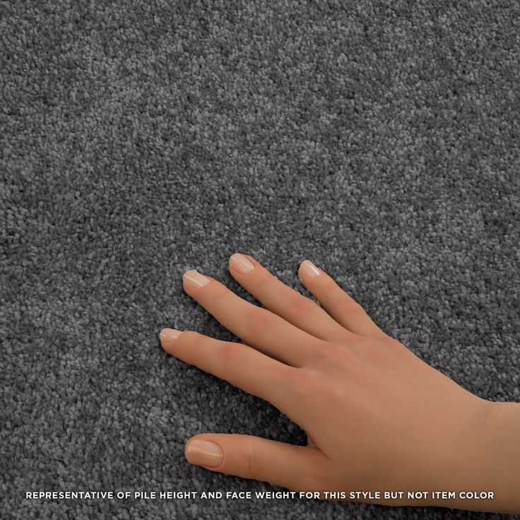 STAINMASTER Essentials Blue Diamonds I 12-ft Pewter Textured Carpet Sample (Interior) - Image 3
