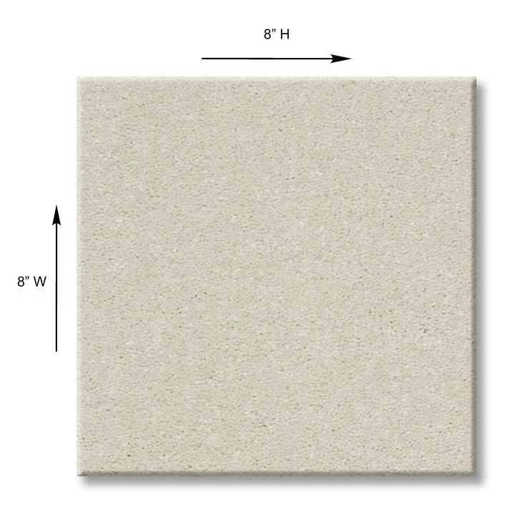 STAINMASTER Essentials Blue Diamonds II 12-ft Minimalist Textured Carpet Sample (Interior) - Image 3