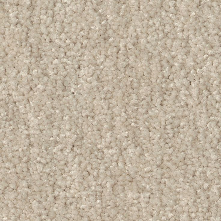 STAINMASTER Essentials Blue Diamonds II 12-ft Bleached Textured Carpet Sample (Interior)
