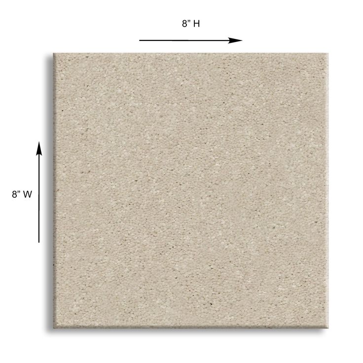 STAINMASTER Essentials Blue Diamonds II 12-ft Bleached Textured Carpet Sample (Interior) - Image 3