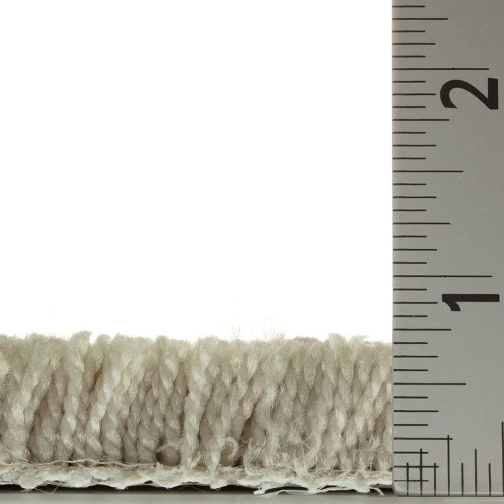 STAINMASTER Essentials Blue Diamonds II 12-ft Bleached Textured Carpet Sample (Interior) - Image 7