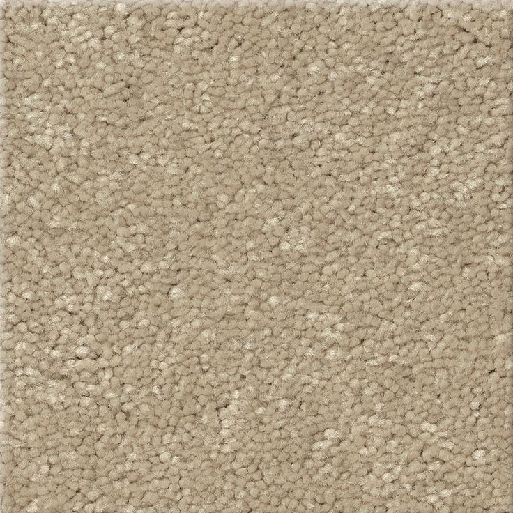 STAINMASTER Essentials Blue Diamonds III 12-ft Raw Lumber Textured Carpet Sample (Interior)