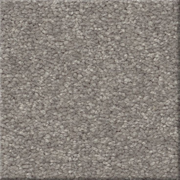 STAINMASTER Essentials Blue Diamonds III 12-ft Dusty Trail Textured Carpet Sample (Interior)
