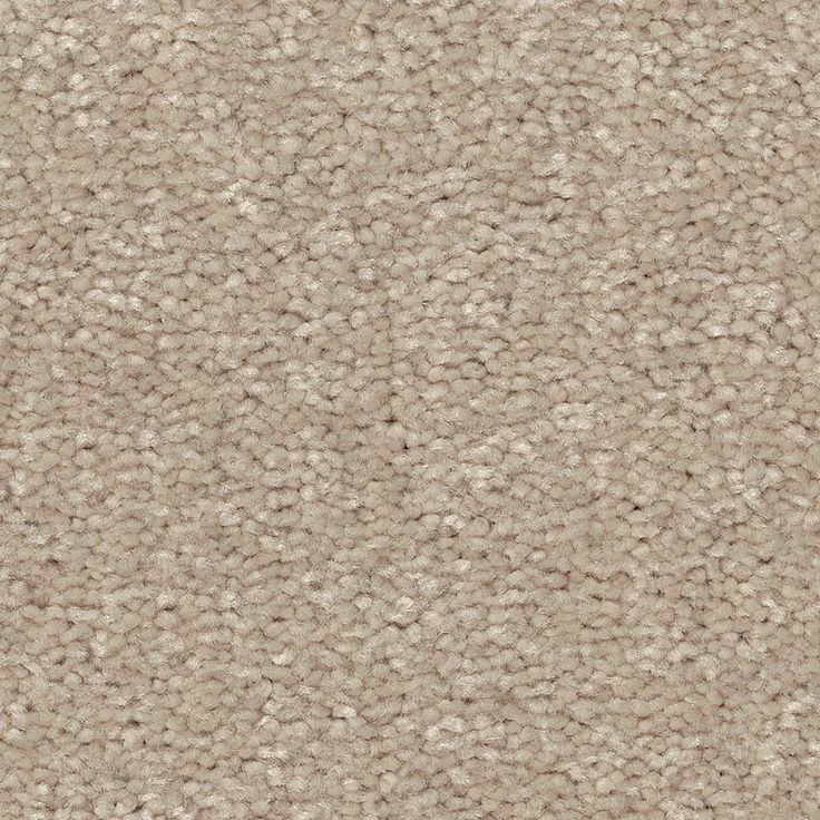 STAINMASTER Essentials Blue Diamonds III 12-ft Dreamy Textured Carpet Sample (Interior)