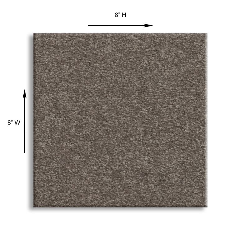 STAINMASTER Essentials Blue Diamonds III 12-ft Iron Textured Carpet Sample (Interior) - Image 3