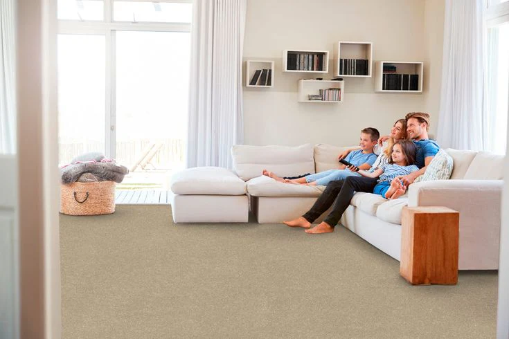 STAINMASTER Essentials Blue Diamonds I 12-ft Raw Lumber Textured Carpet (Indoor) - Image 6
