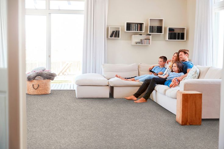 STAINMASTER Essentials Blue Diamonds I 12-ft Dusty Trail Textured Carpet (Indoor) - Image 7