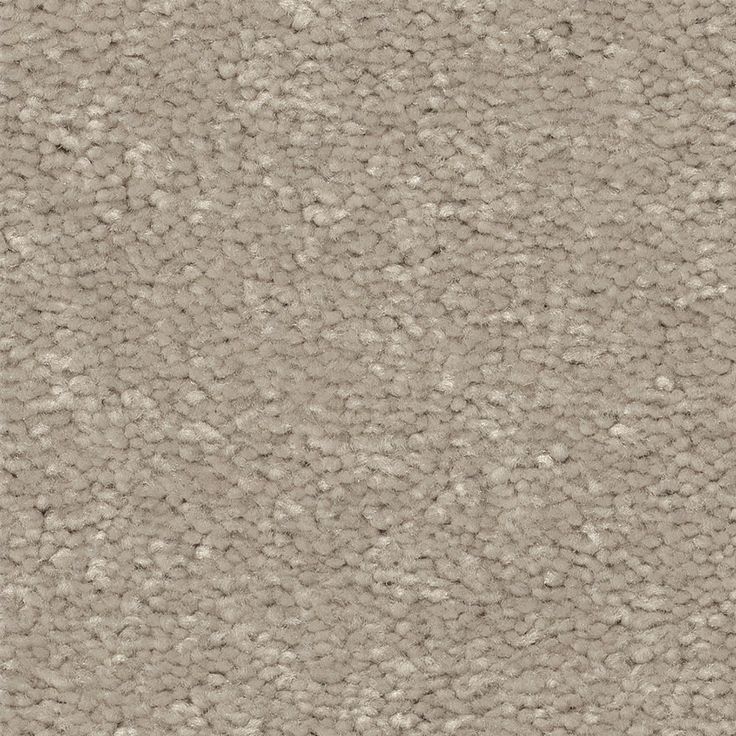 STAINMASTER Essentials Blue Diamonds I 15-ft Greige Textured Carpet (Indoor)