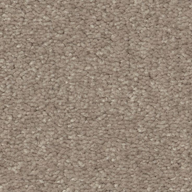 STAINMASTER Essentials Blue Diamonds II 12-ft Natural Contour Textured Carpet (Indoor)
