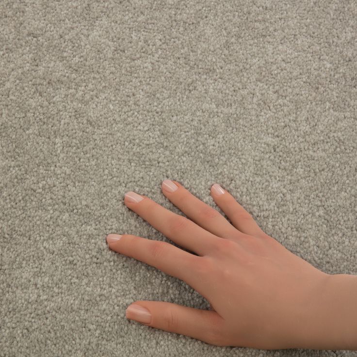 STAINMASTER Essentials Blue Diamonds II 12-ft Greige Textured Carpet (Indoor) - Image 2
