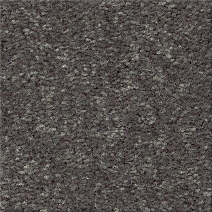 STAINMASTER Essentials Blue Diamonds II 12-ft Iron Textured Carpet (Indoor)