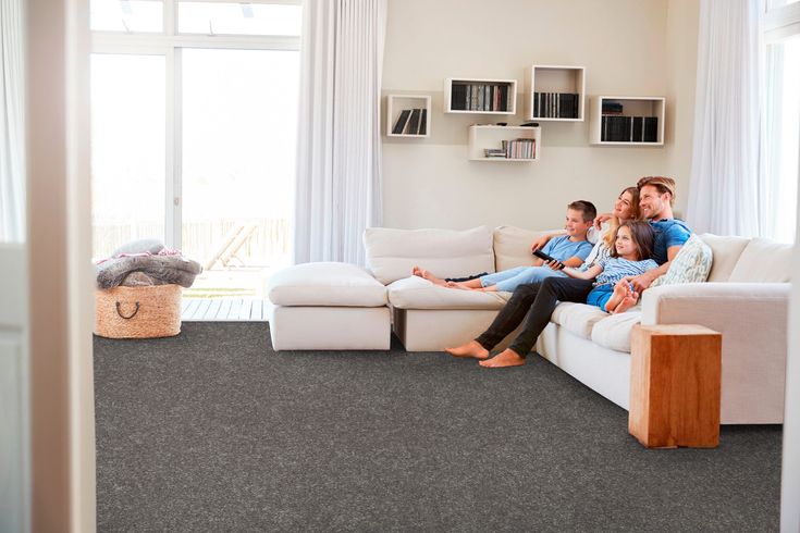 STAINMASTER Essentials Blue Diamonds II 12-ft Iron Textured Carpet (Indoor) - Image 5