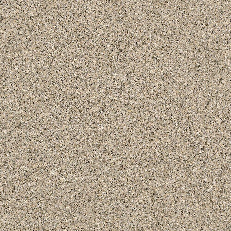 STAINMASTER PetProtect Mineral Bay I 12-ft Sun Kissed Textured Carpet Sample (Interior)