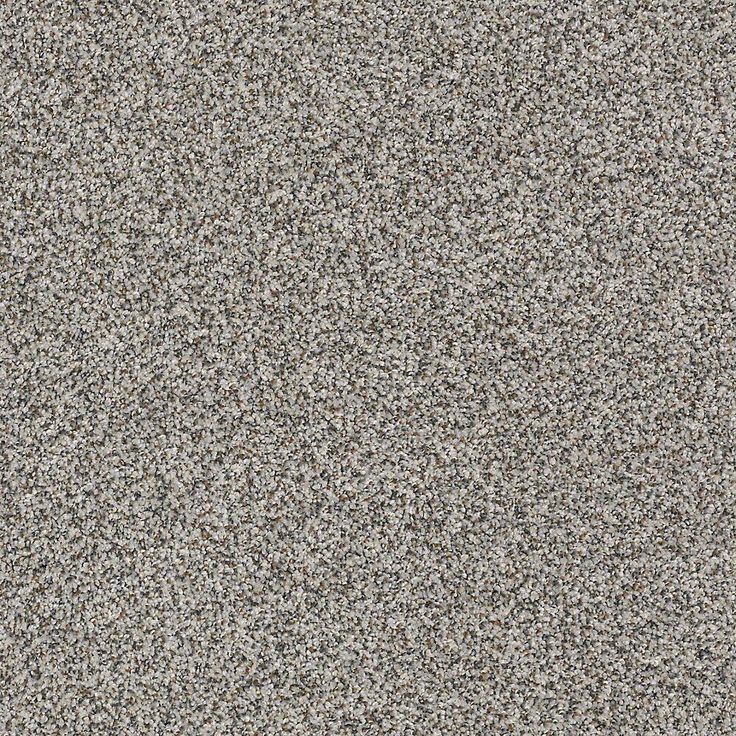 STAINMASTER PetProtect Mineral Bay I 12-ft Harbor Mist Textured Carpet Sample (Interior)