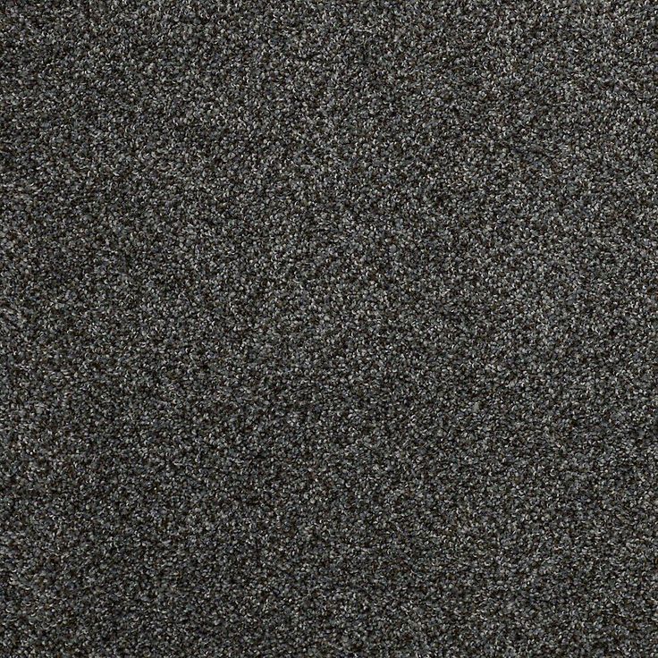 STAINMASTER PetProtect Mineral Bay I 12-ft Inlet Textured Carpet Sample (Interior)
