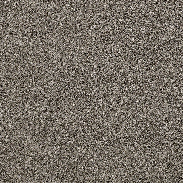 STAINMASTER PetProtect Mineral Bay II 12-ft Pelican Textured Carpet Sample (Interior)