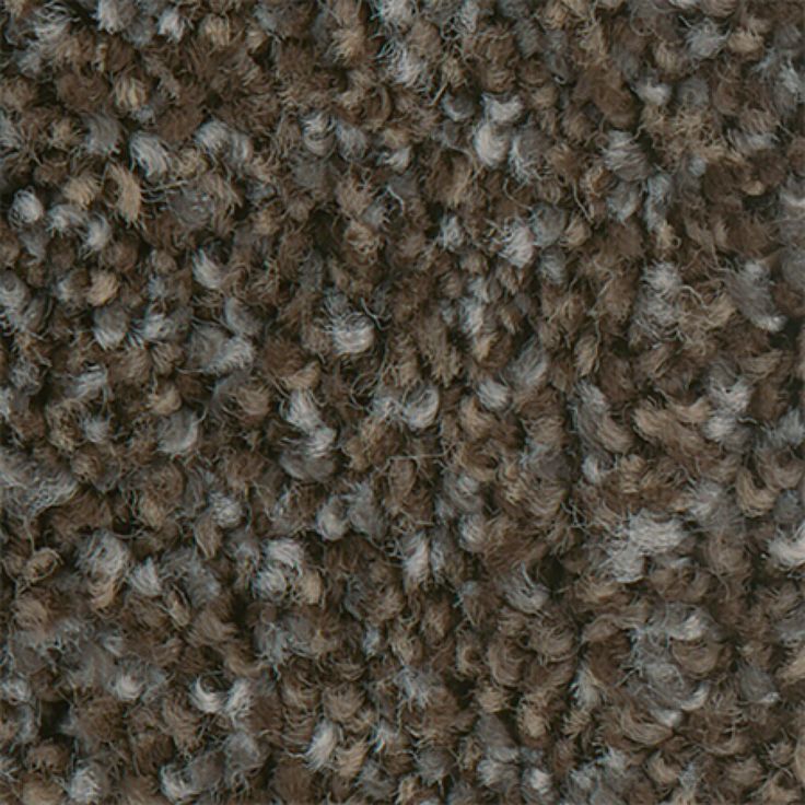 STAINMASTER PetProtect Mineral Bay II 12-ft Dockside Textured Carpet Sample (Interior)
