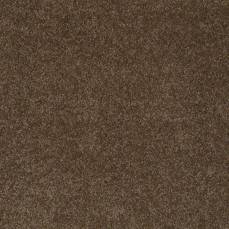 STAINMASTER PetProtect Baxter IV Labrador Textured Carpet Sample (Interior)