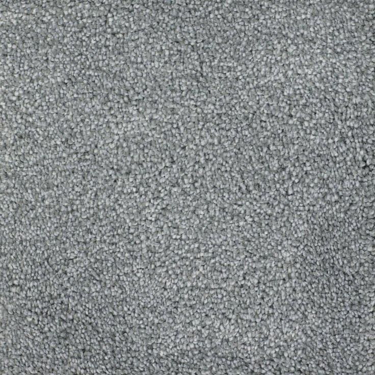 STAINMASTER Signature Briar Patch Weathered Textured Carpet Sample (Interior)