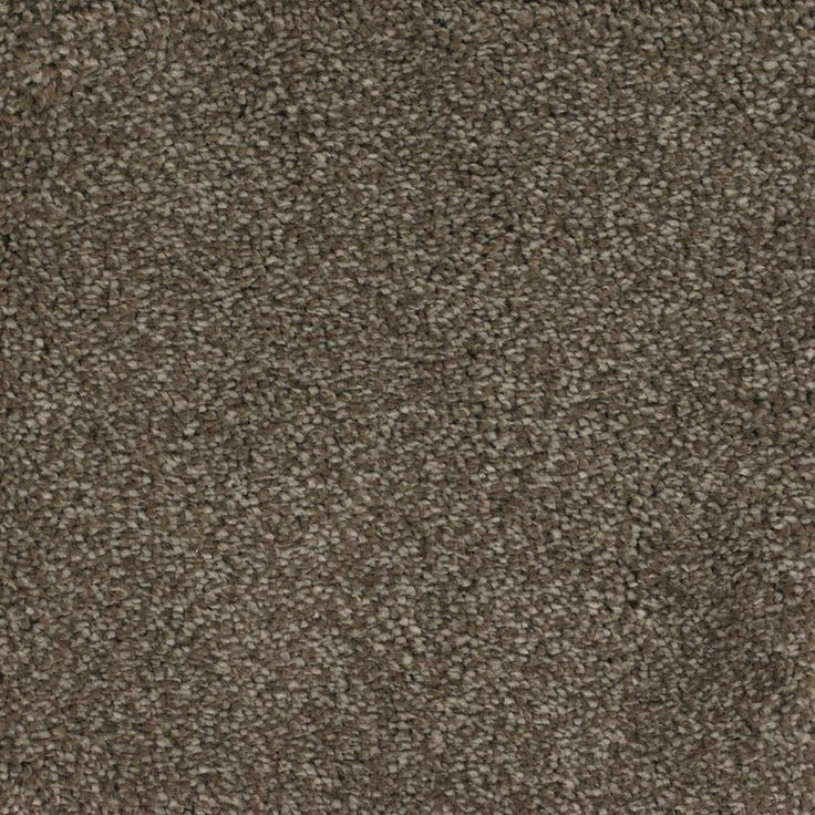 STAINMASTER Signature Briar Patch Smooth Stone Textured Carpet Sample (Interior)