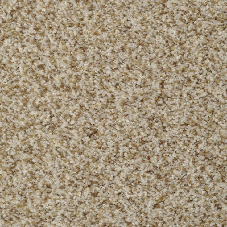 STAINMASTER Signature Cinema Oyster Bay Textured Carpet Sample (Interior)