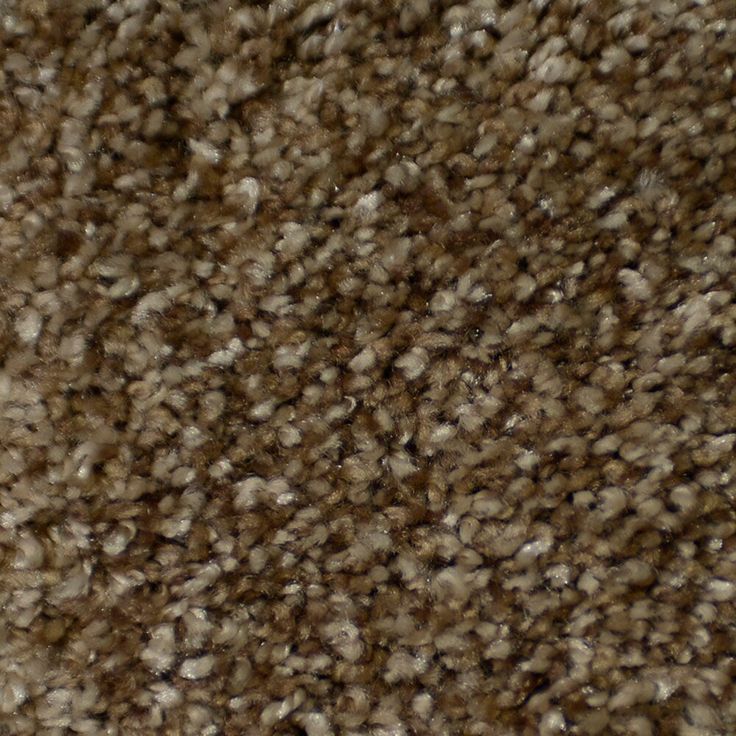 STAINMASTER Signature Documentary Montage Textured Carpet Sample (Interior)