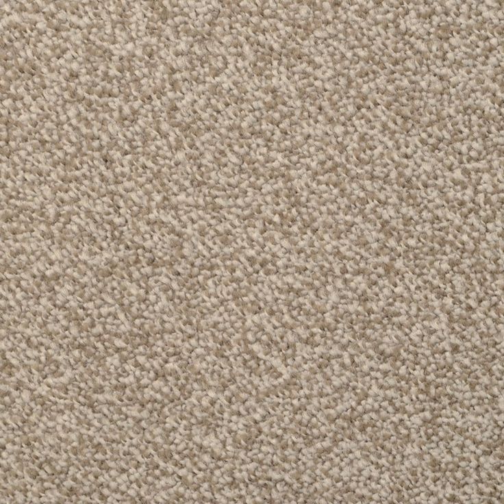 STAINMASTER Signature Pleasant Point Granada Textured Carpet Sample (Interior)