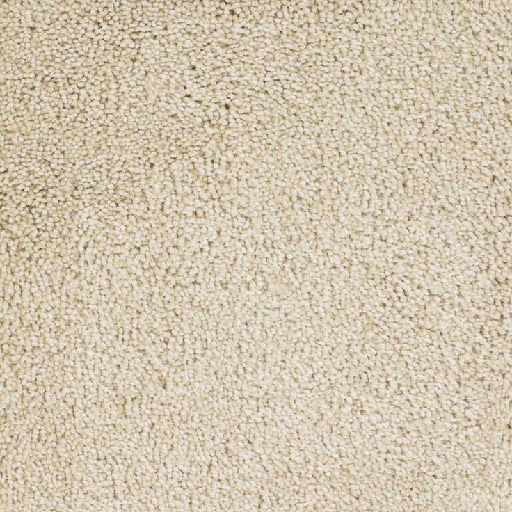 STAINMASTER Signature Pleasant Point Tranquil Textured Carpet Sample (Interior)