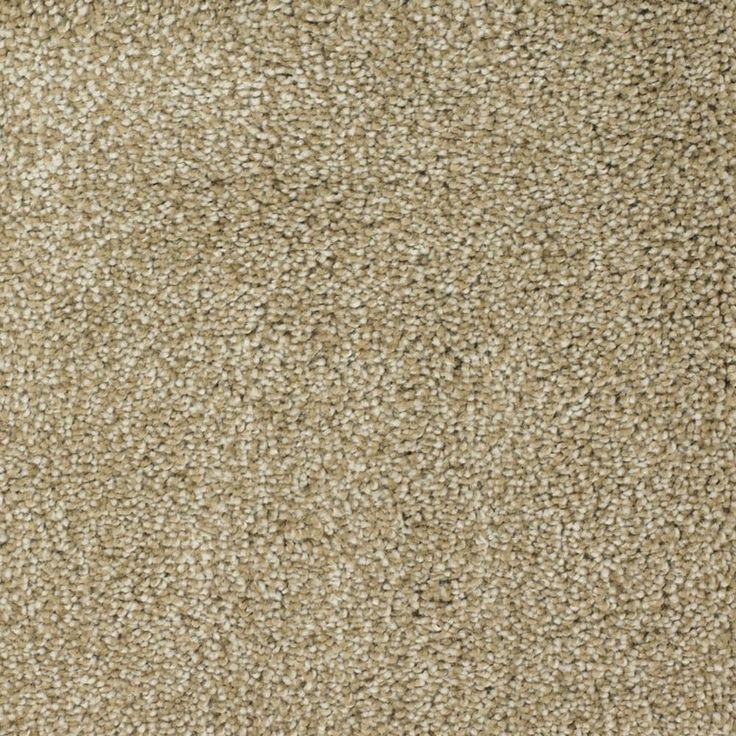 STAINMASTER Signature Pleasant Point Weathered Textured Carpet Sample (Interior)