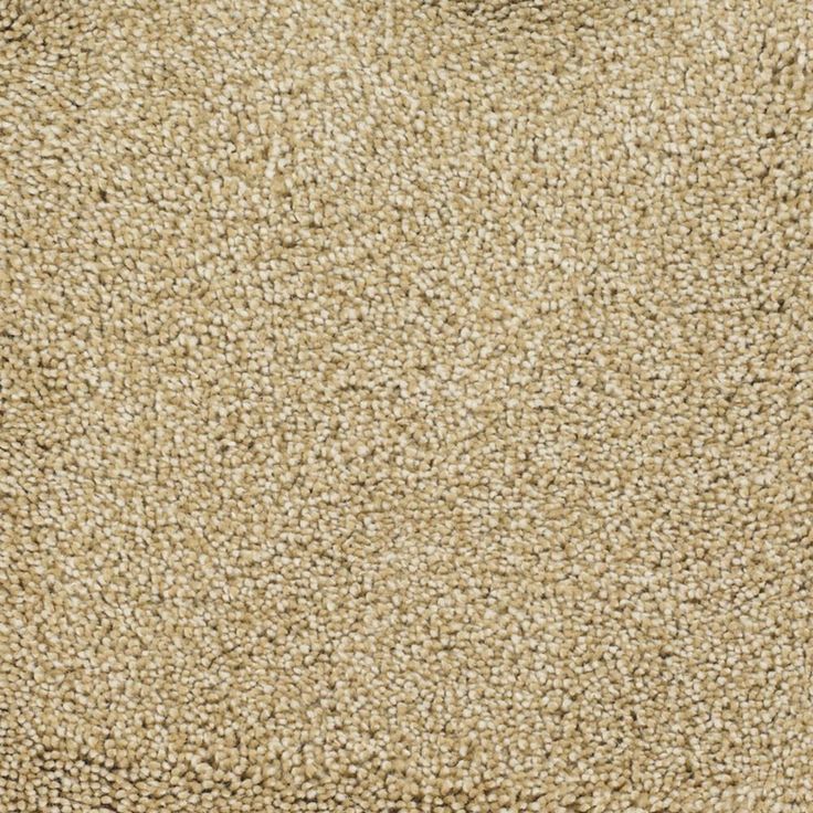 STAINMASTER Signature Pleasant Point Horseshoe Textured Carpet Sample (Interior)