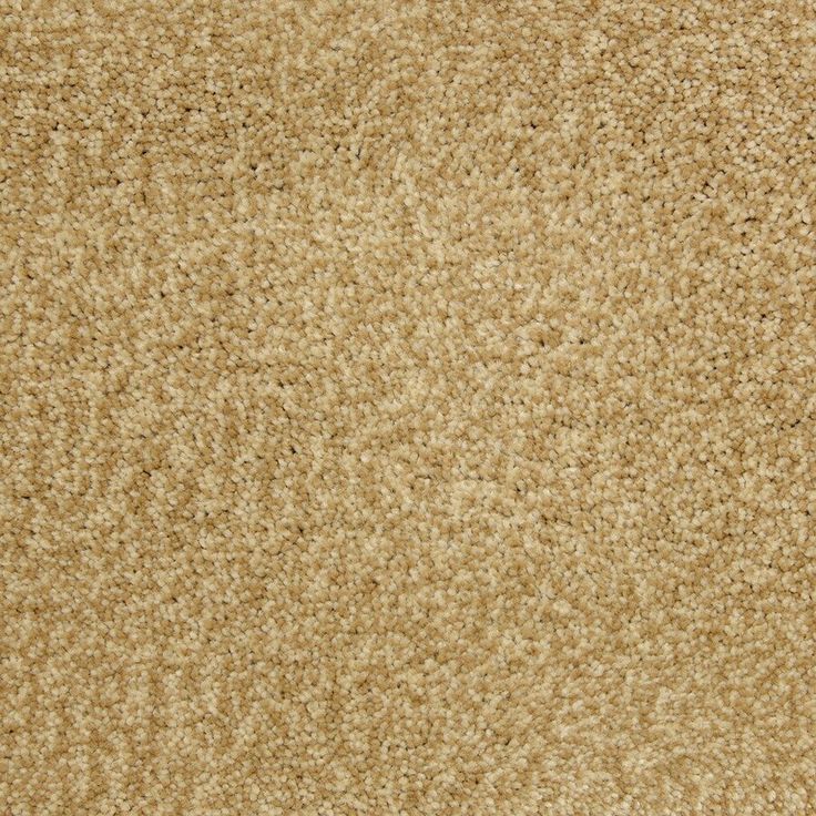 STAINMASTER PetProtect Magnetic Heirloom Textured Carpet Sample (Interior)