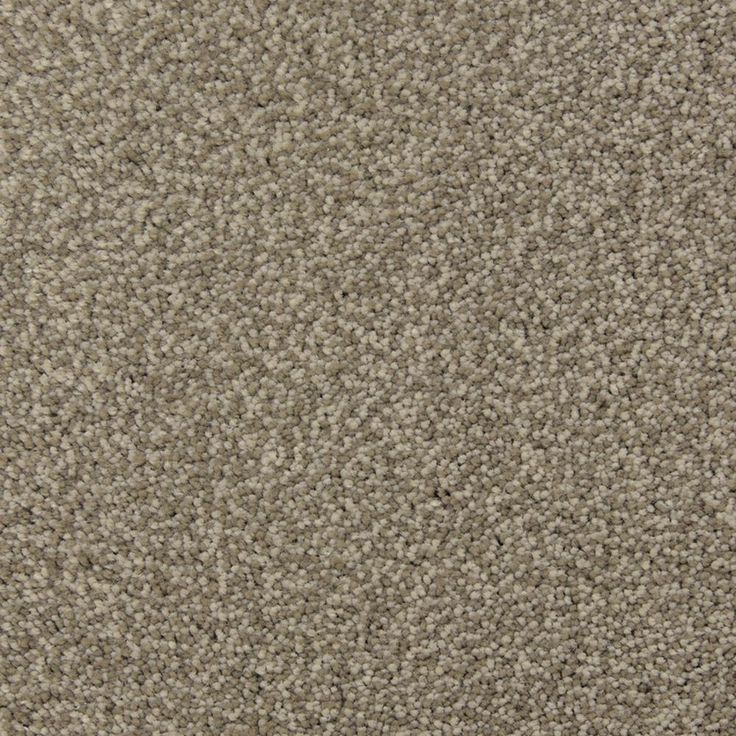 STAINMASTER PetProtect Magnetic Limestone Textured Carpet Sample (Interior)