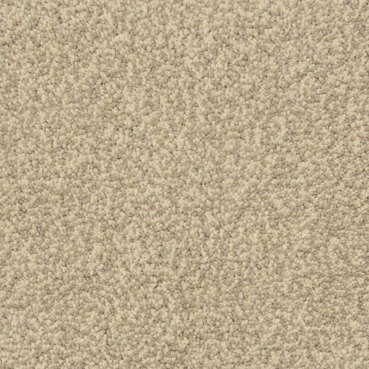 STAINMASTER PetProtect Entranced Cobblestone Textured Carpet Sample (Interior)