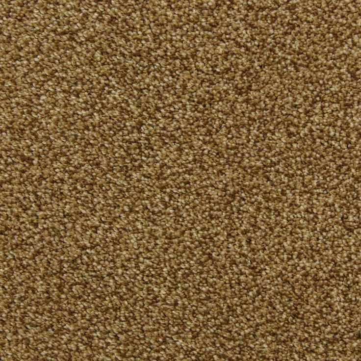 STAINMASTER PetProtect Hypnotized Brownstone Textured Carpet Sample (Interior)