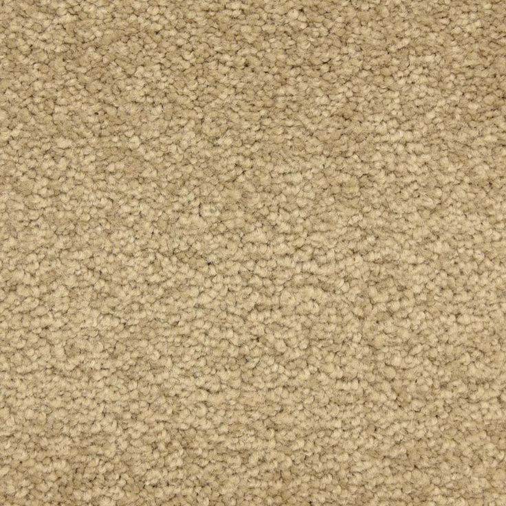 STAINMASTER LiveWell Hush-Hush Hansel Textured Carpet Sample (Interior)