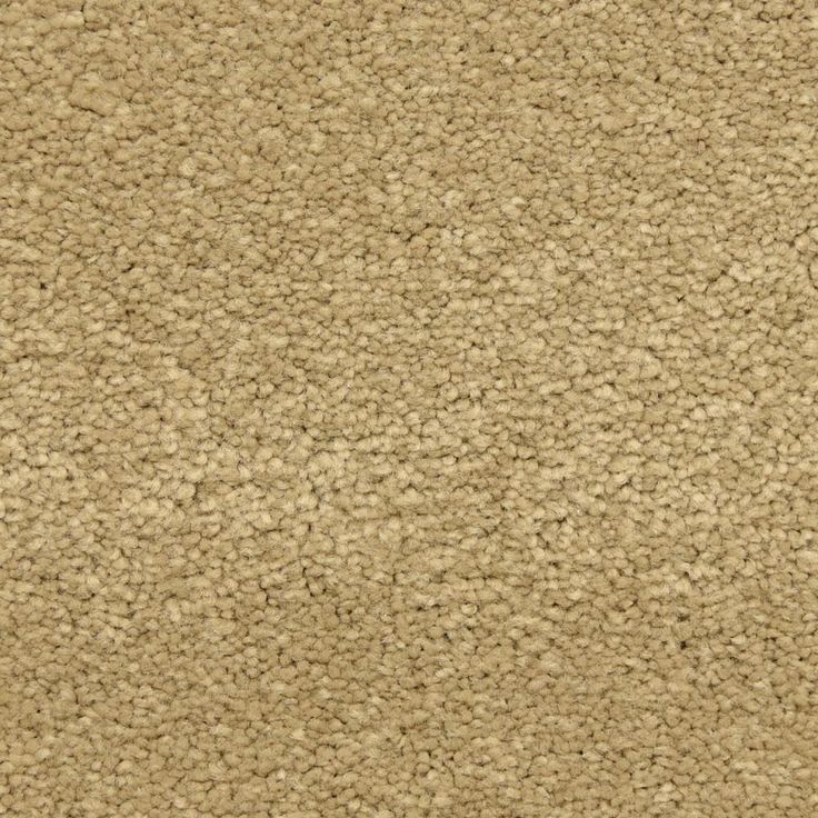 STAINMASTER LiveWell Fairy-Tale Alice Textured Carpet Sample (Interior)