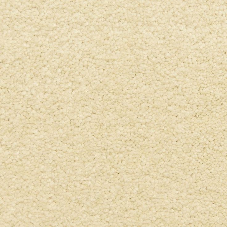 STAINMASTER LiveWell Fairy-Tale Cottontale Textured Carpet Sample (Interior)
